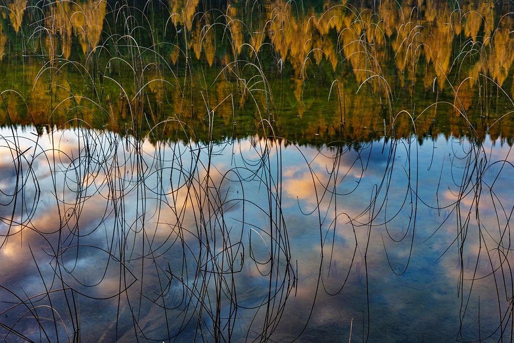 Autumn reflections in Spencer Lake near Whitefish-Montana-USA
